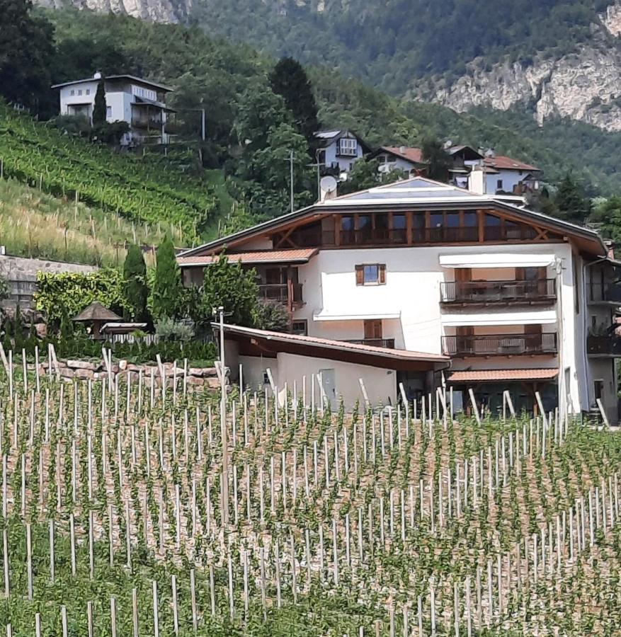 Bertoldihof Lägenhet Cortaccia Exteriör bild